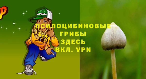 a pvp Аркадак