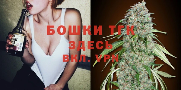 тгк Алексин