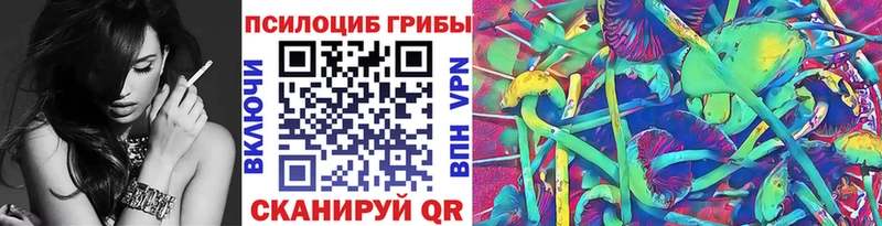 Псилоцибиновые грибы Psilocybe  Нолинск 