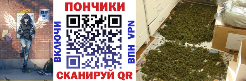 закладка  Нолинск  нарко площадка формула  Каннабис VHQ 